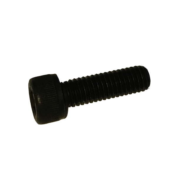 Screw M6x100 L20