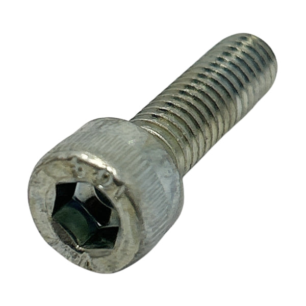 Socket Screw M6x100 L20