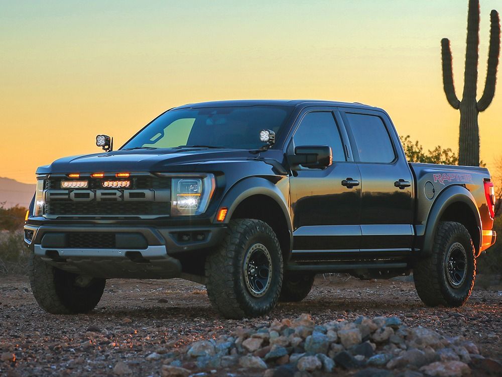 Ford F-150 Raptor (2021-2023) Grille Kit - Race and Rally
