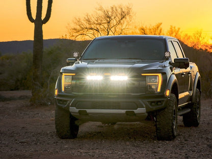 Ford F-150 Raptor (2021-2023) Grille Kit - Race and Rally