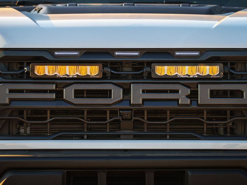 Ford F-150 Raptor (2024+) Grille Kit - Race and Rally