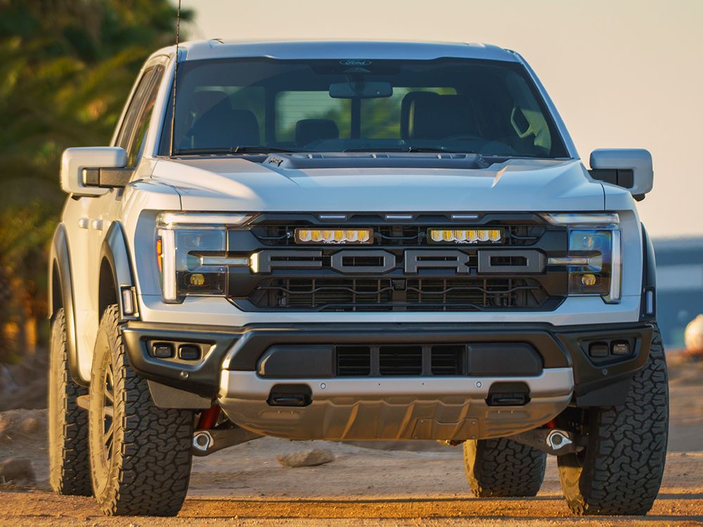 Ford F-150 Raptor (2024+) Grille Kit - Race and Rally