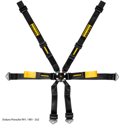 94720-0 - Porsche 991 / 981 2x2 harness