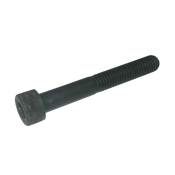 Screw CHC M6x100 L45