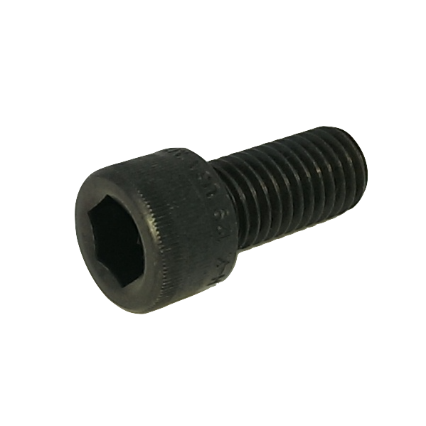 Screw M12x125