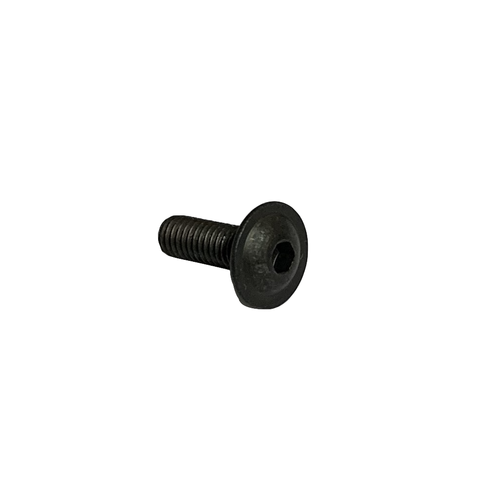 BHC screw EMB M4x070 L12 CL10.9