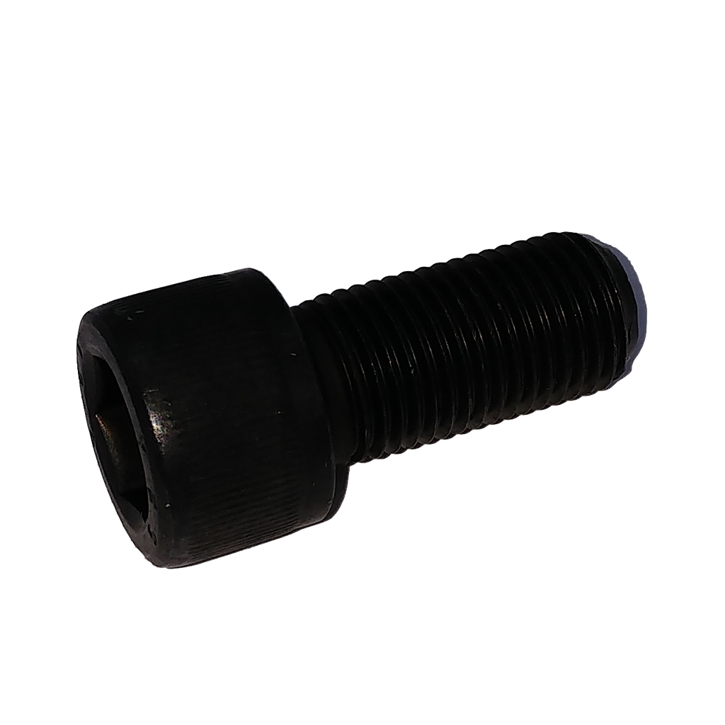 Screw CHC M12x125-25 cl12.9