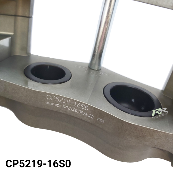 CP5219-16S0 - Pistons