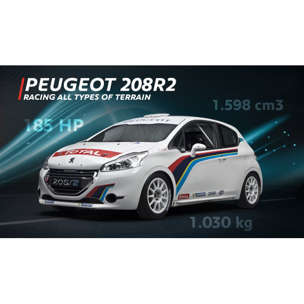 Peugeot 208R2 Racing all types of terrain